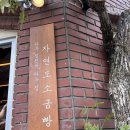 갓구워낸빵 | [서울/연남] 갓구워낸 소금빵 맛집, 소금빵계의 탑티어 “자연도소금빵” 웨이팅/맛 솔직 후기