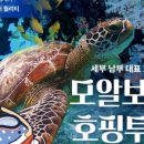 온투어주 이미지