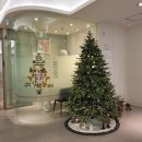 루아어린이치과의원 이미지