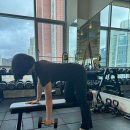 마인드휘트니스 송정골드점 네이버블로그