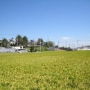 청년회관 옆 이미지