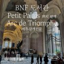 [파리여행 8일차] BNF 도서관/ Petit Palais 프티 팔레/ Arc de Triomphe 에투알개선문/ 팔레루아얄