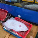 BS수산 | [251101] [스압] 하루 더블부킹 일정 소화 ... feat. 수산마켓 &amp; 남발카세