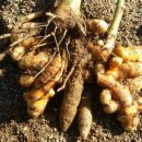 디딤돌농장 이미지