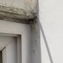 제니스타운 이미지