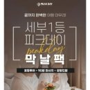 인화카써비스 | 세부 호핑투어 피크데이 막날팩 굿바이팩 마사지 내돈내산 후기