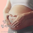 필라테스(재활운동/야간) 이미지