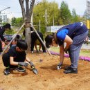 배다리초등학교 이미지