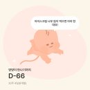 빵그루밍 | 7월 일상: 이제 진짜 빼박 후기 임산부 일상(feat. 여름 만삭은 증말 힘들군아)