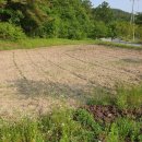 도선농장 이미지