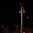 (주)제일광학 | 니콘 Zf: 28mm와 50mm의 밤나들이.