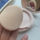 화사하개 | 수부지 &amp; 건성피부 정착 쿠션 웨이크메이크 워터 글로우 코팅밤 올리부영쿠션 추천