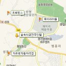 궁전무인텔 이미지