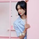 브랜드라이즈
