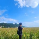 순천만습지 주차장 화장실 | 순천여행코스 순천만습지 방문후기 입장료 주차장 짐보관소