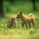 아람파크맨션 이미지