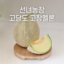 제2운산농장 | 내돈내산 매년 주문하는 찐단골 선녀농장 고당도 고창멜론 선녀농장(멜론 요리, 하몽멜론 만들기)
