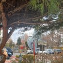 상사_체육공원(상사종합체육관) | [서울수영장/보라매공원역] 동작구민체육센터 주말(일요일) 자유수영 방문후기