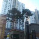 한경대학교산학협력관 앞 이미지