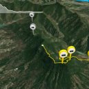 산수유축제장 이미지