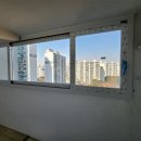 황골쌍용 이미지