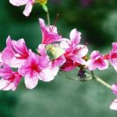 두메산골식당 앞 이미지