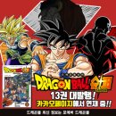 이불 속 댕댕이 이미지