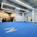 용인대 선샤인 유도 이미지