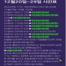 부산 크리스마스 산타 버스 115-1번 타는 방법 탑승 후기 대진여객 1821호