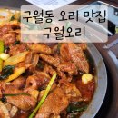 구월오리 이미지