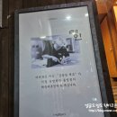 동일 | * 부산 해운대 일식 맛집 ::동일참치:: 방문 후기 -