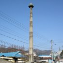 동점목장 Daum카페