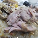 본가오리 이미지