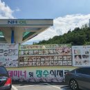 단양 마늘정식 맛집, 장다리식당