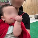 봉담문화의집 제3강의실 | [부산 문화센터] 롯데백화점 부산 동래점 오감올리 무당벌레 코스튬 특강 후기:)