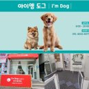 한솔어린이집 | 원주 단구동 애견 미용&amp;호텔 전문 ‘아이엠 도그’ 솔직후기