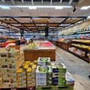 에이스펜션텔 이미지