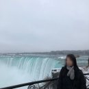 한남할인마트 | 뉴욕 나이아가라 폭포 투어 제이지데이 투어 찐 후기