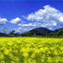 황산체육공원 이미지