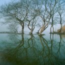 우포늪생태공원 이미지