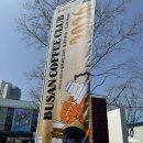 블루포트2021 | 영도 카페쇼 2026 블루포트 부산커피클럽 후기