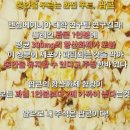 신토불이 충주 국산 팝콘 맛보기 (팔봉농원 조성숙님) 이미지