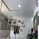 페리투에스테틱 이미지