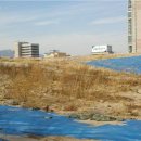 왕십리약국 이미지