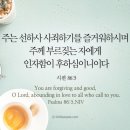 선하사 이미지