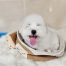 은아유통 이미지