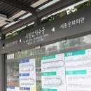 시청 앞 버스정류장 이미지