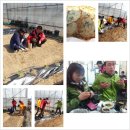 민식농장 이미지