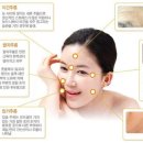 정안에너지 이미지