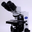 야당동물병원 이미지